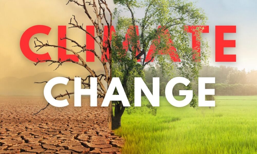 गर्मी अब सिर्फ़ मौसम नहीं, बीमारी बन गई है: लैंसेट रिपोर्ट की चेतावनी